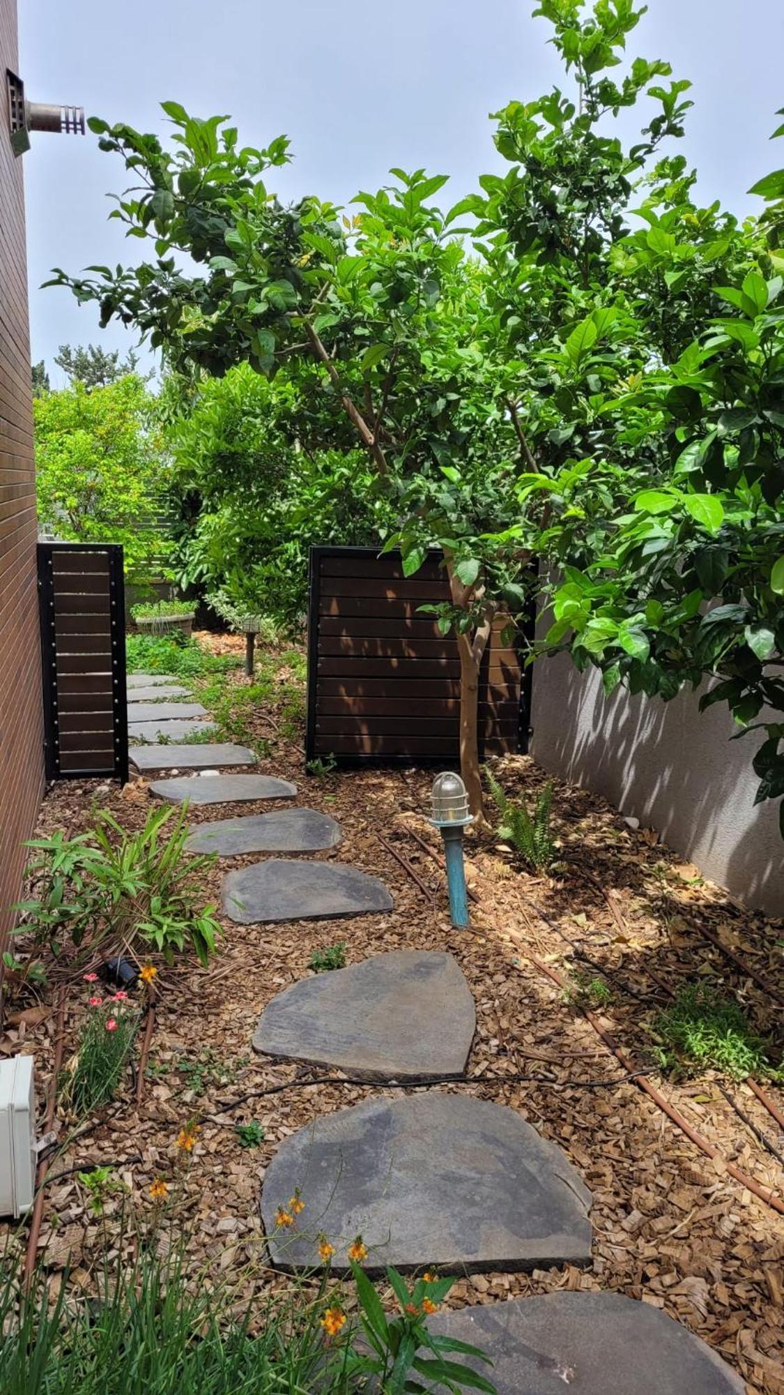 Ferienwohnung נקודות ריפוי Tirat Carmel Exterior foto